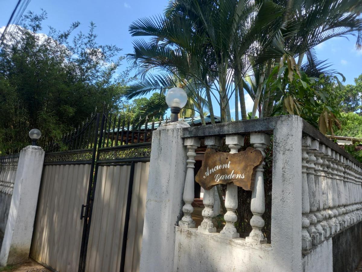 Ancient Gardens Villa Pinnawala  Exterior photo