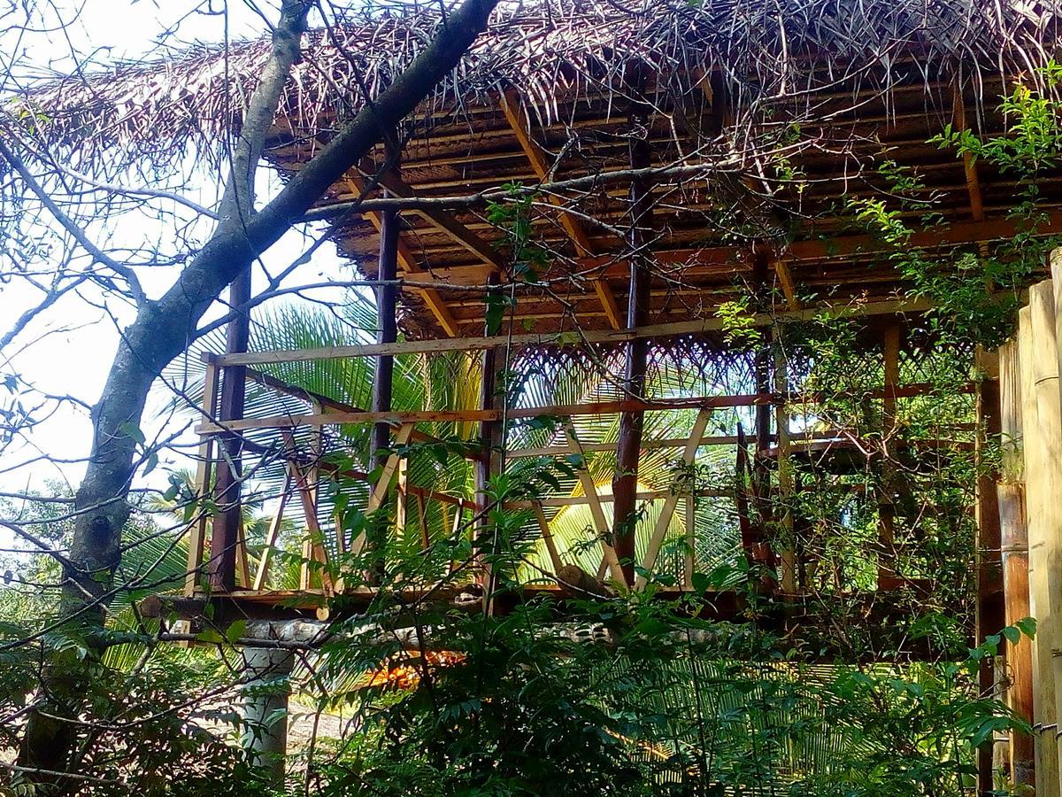 Ancient Gardens Villa Pinnawala  Exterior photo